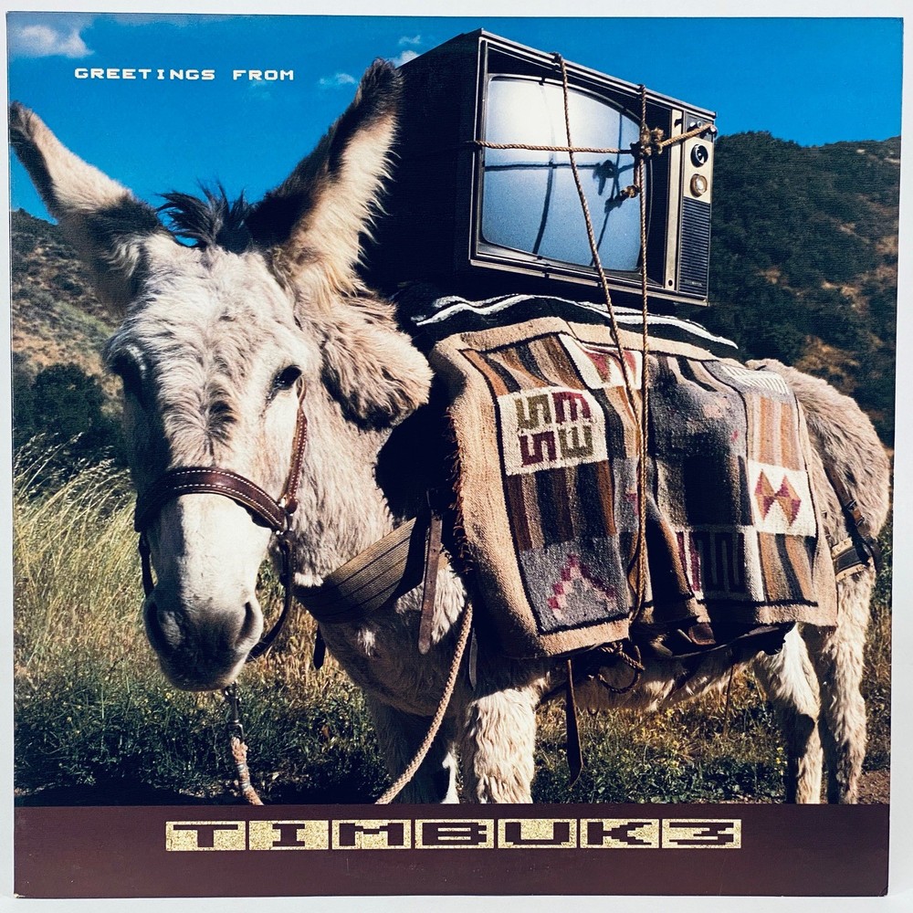 Timbuk 3 – Greetings From Timbuk 3 • LP Vinyl Record