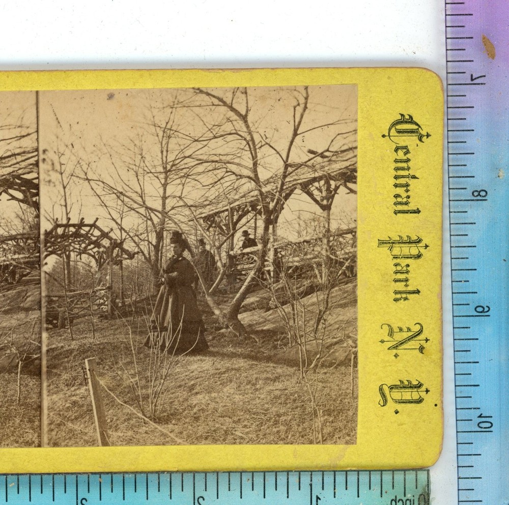 Rustic Rest Central Park NY New York Stereoview