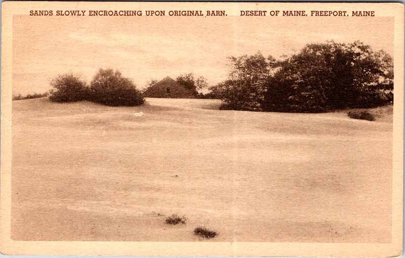Postcard NATURE SCENE Freeport Maine ME m/09 AM6372
