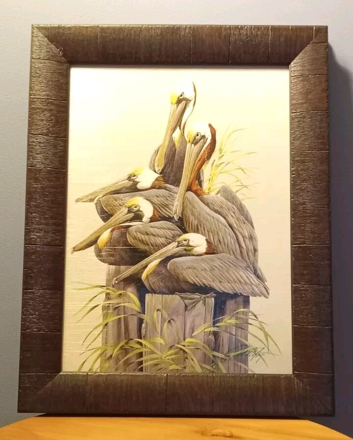 Framed Wall Art Couch Potatoes Pelicans Print on Wood by Art LaMay