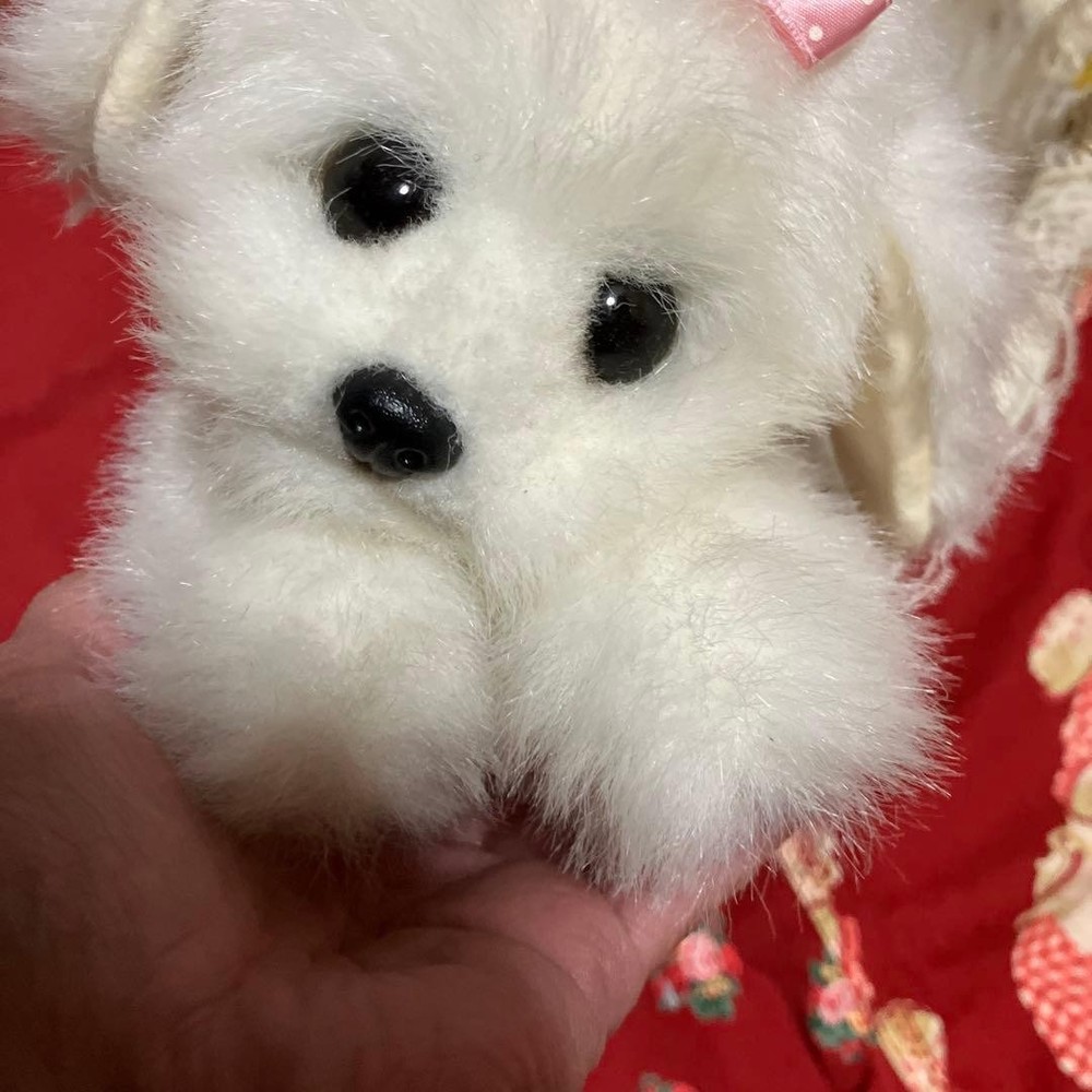 plush dog Maltese white dog puppy doggy retro plush dog #d02079