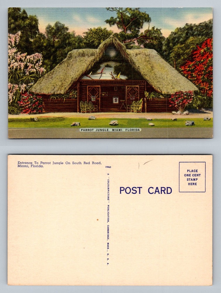 Miami, FL-Florida, Parrot Jungle Entrance Thatched Hut Tropical Vintage Postcard