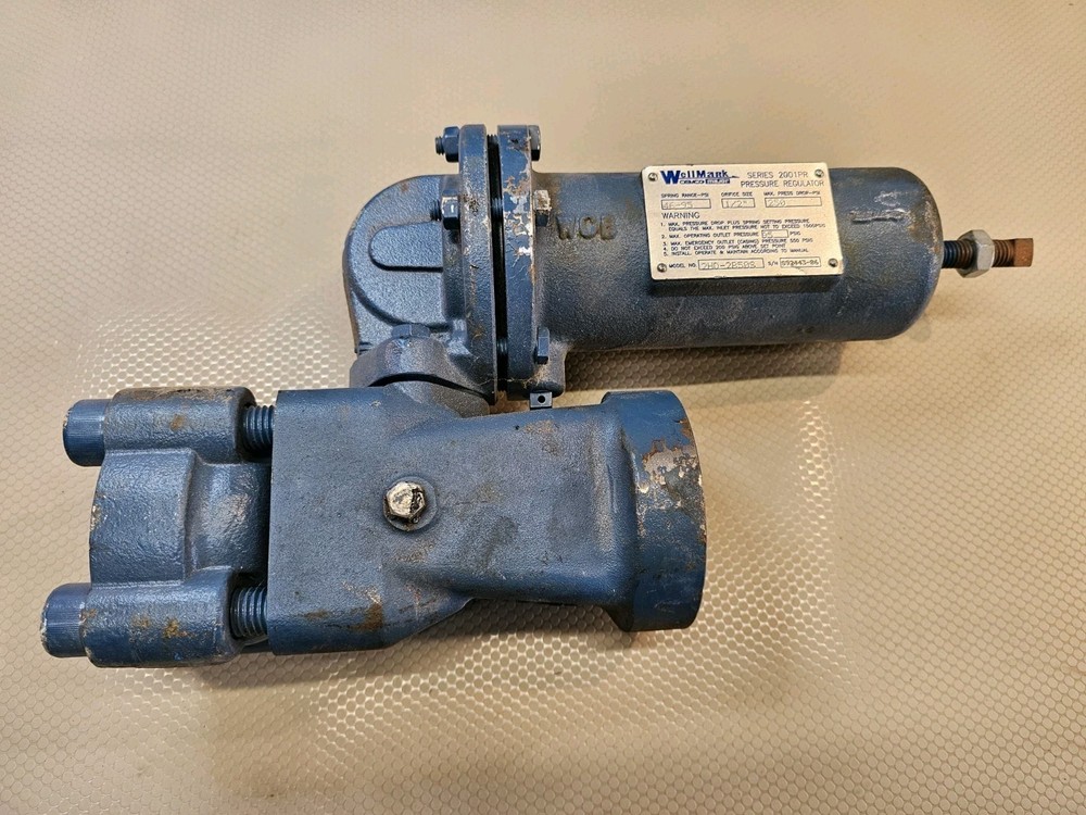 Wellmark Series 2001PR Pressure Regulator 1/2