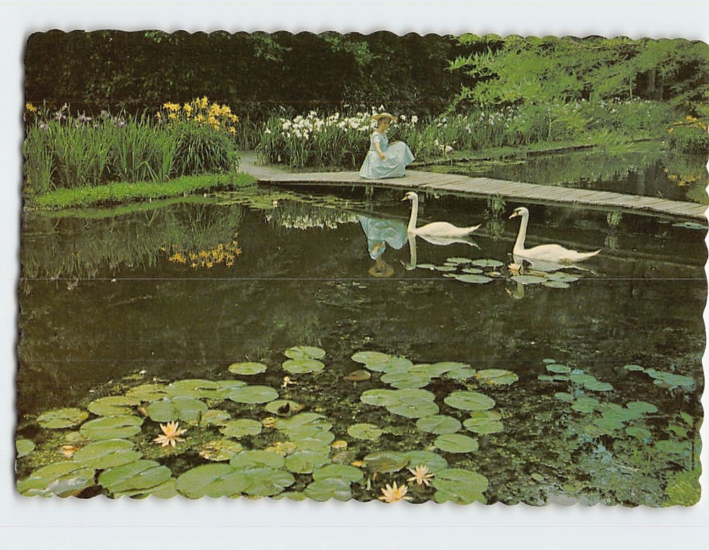 Postcard Swan Lake Gardens Sumter South Carolina USA