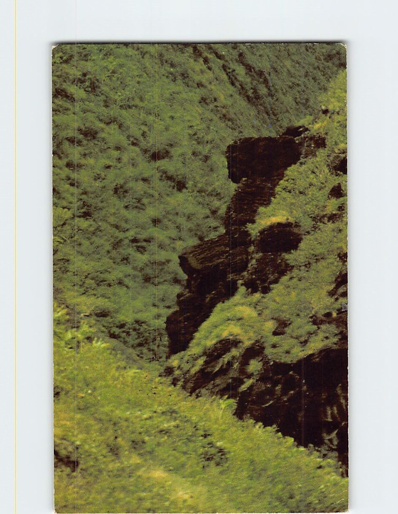 Postcard John F Kennedy Profile Lava Rock Formation Maui Hawaii