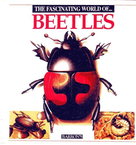 The Fascinating World of Beetles by Julivert, Angels,Julivert, Maria Angels, Goo