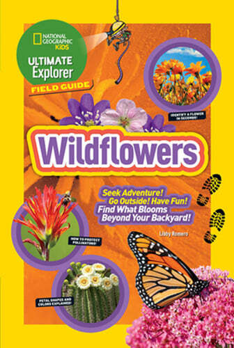 Ultimate Explorer Field Guide: Wildflowers by Libby Romero: Used