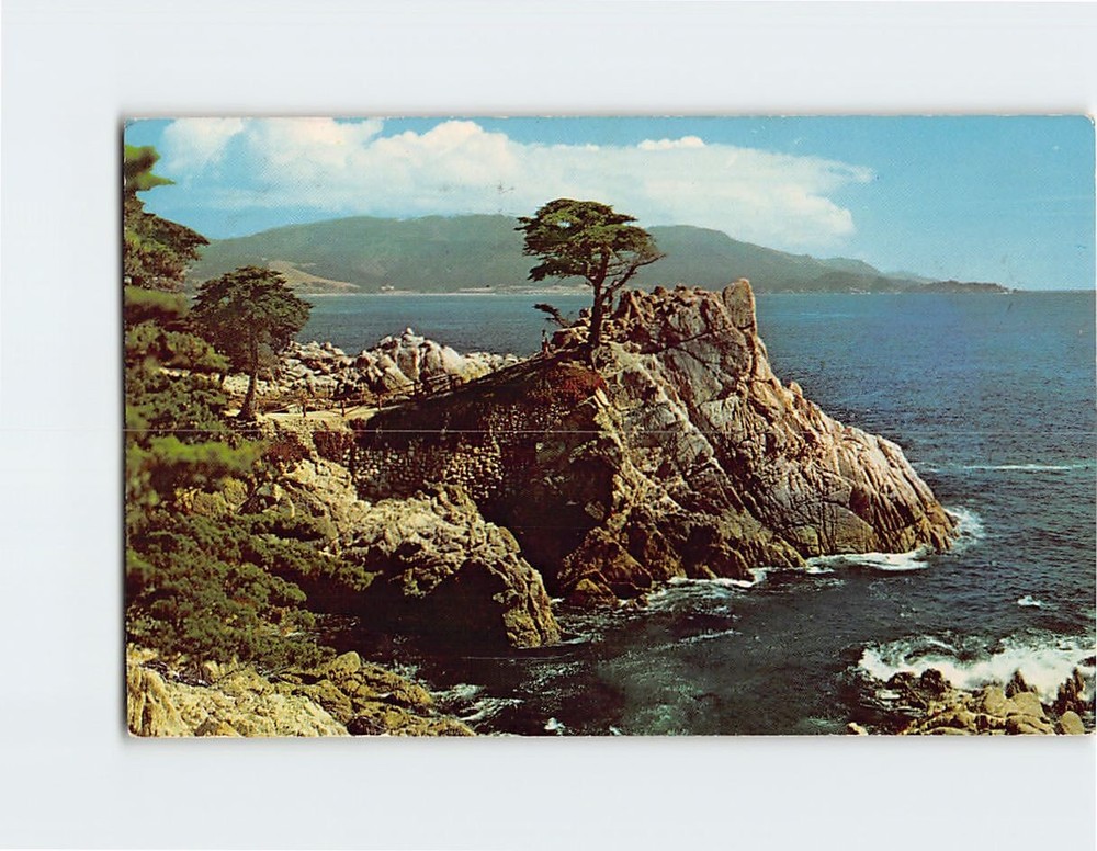Postcard Midway Point 17 Mile Drive Monterey Peninsula California
