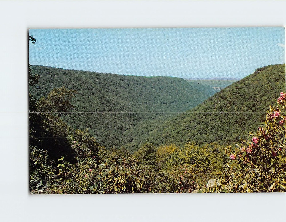 Postcard Scenic View Babcock State Park West Virginia USA