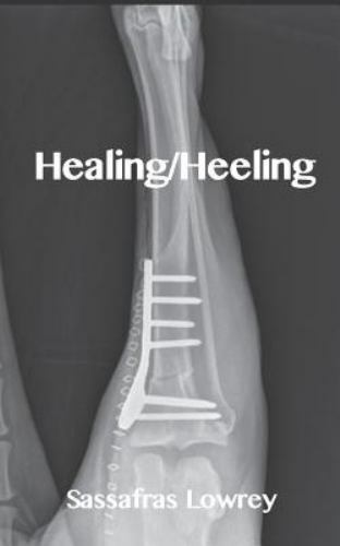 Healing/Heeling by Lowrey, Sassafras, Like New Used, Free shipping in the US
