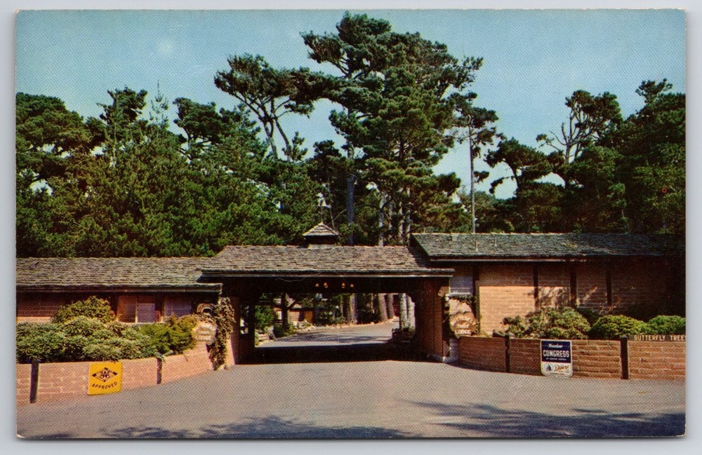 Butterfly Trees Lodge Pacific Grove CA Vintage Mike Roberts Chrome Postcard