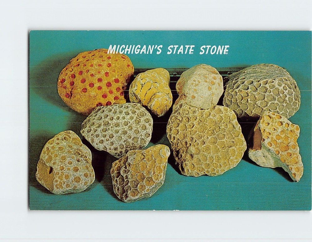 Postcard Petoskey Stone Michigans State Stone Michigan USA