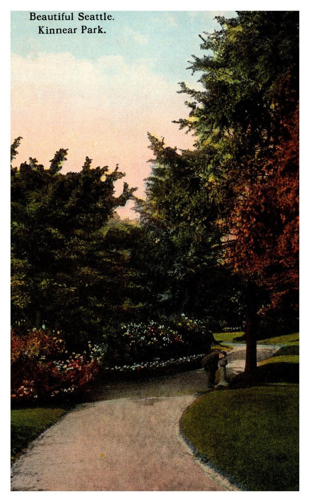 Seattle WA Washington Beautiful Kinnear Park Divided Back Postcard