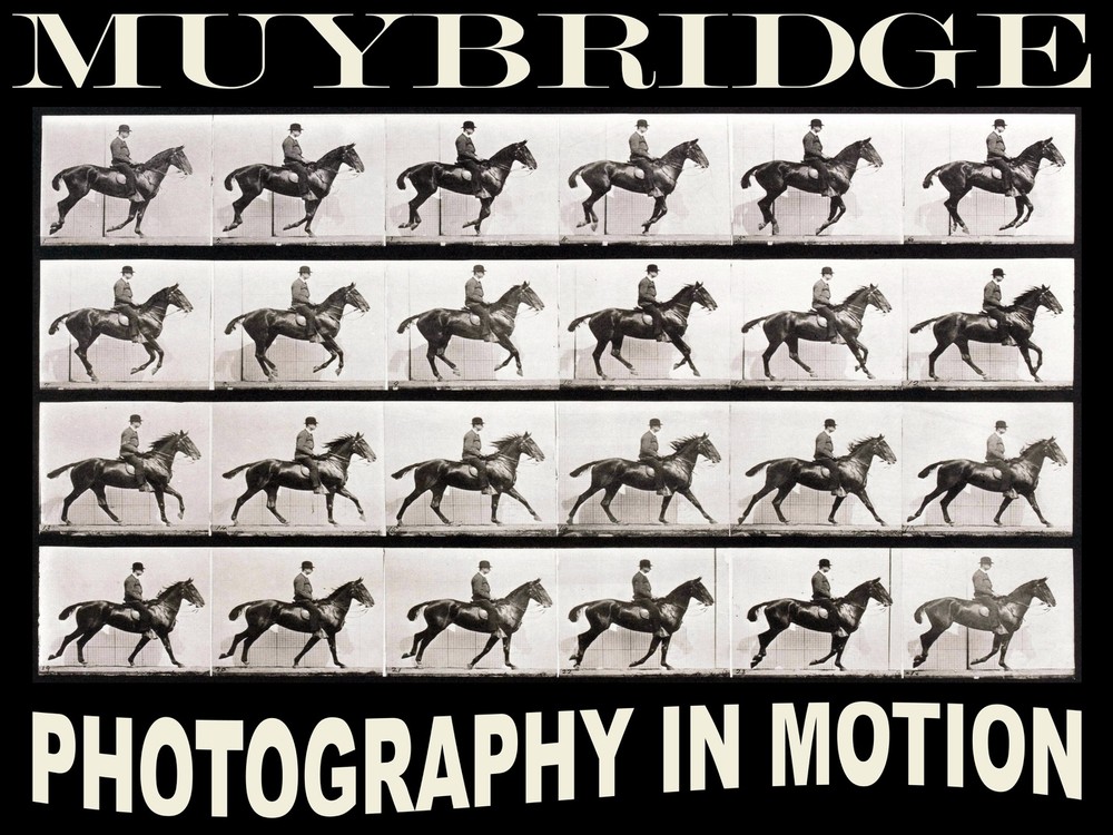 11525.Decorative Poster.Wall art decor.Muybridge photography.Riding Horse