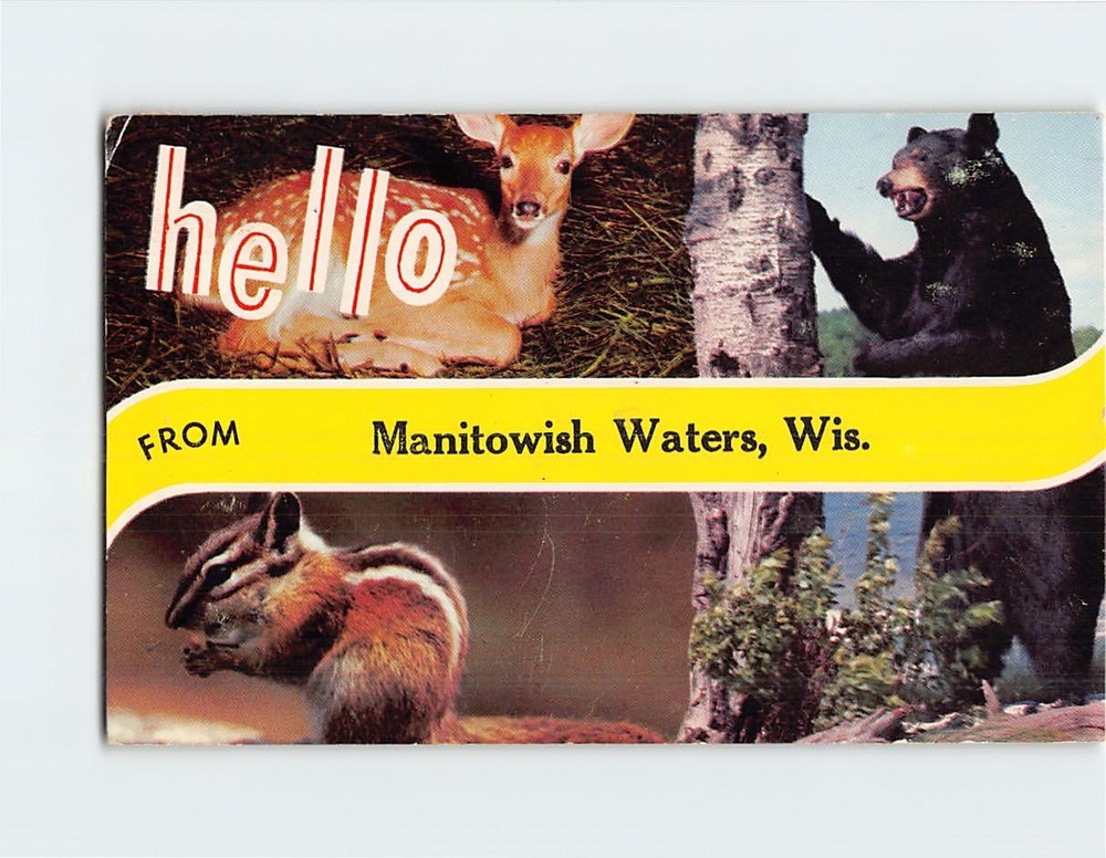 Postcard Deer, Bear & Squirrel Animals from Manitowish Waters Wisconsin USA