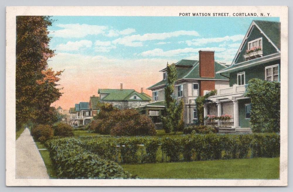 Port Watson Street Cortland NY Vintage Postcard William Jubb Co Divided Back