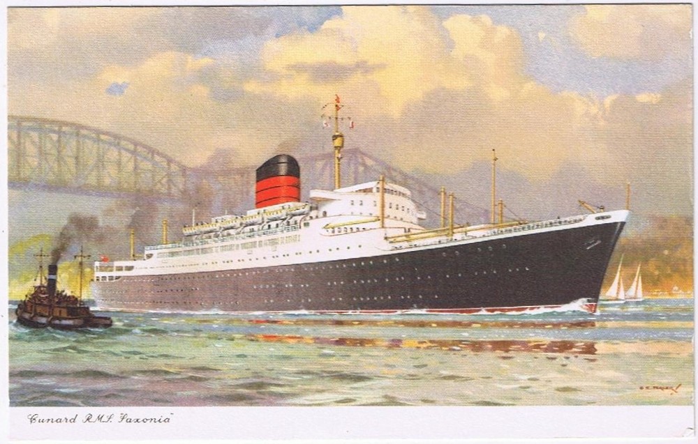 Postcard Cunard Steamship RMS Saxonia