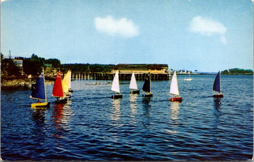 Vintage Postcard Colorful Sail Boats in Camden Harbor Maine ME              S465