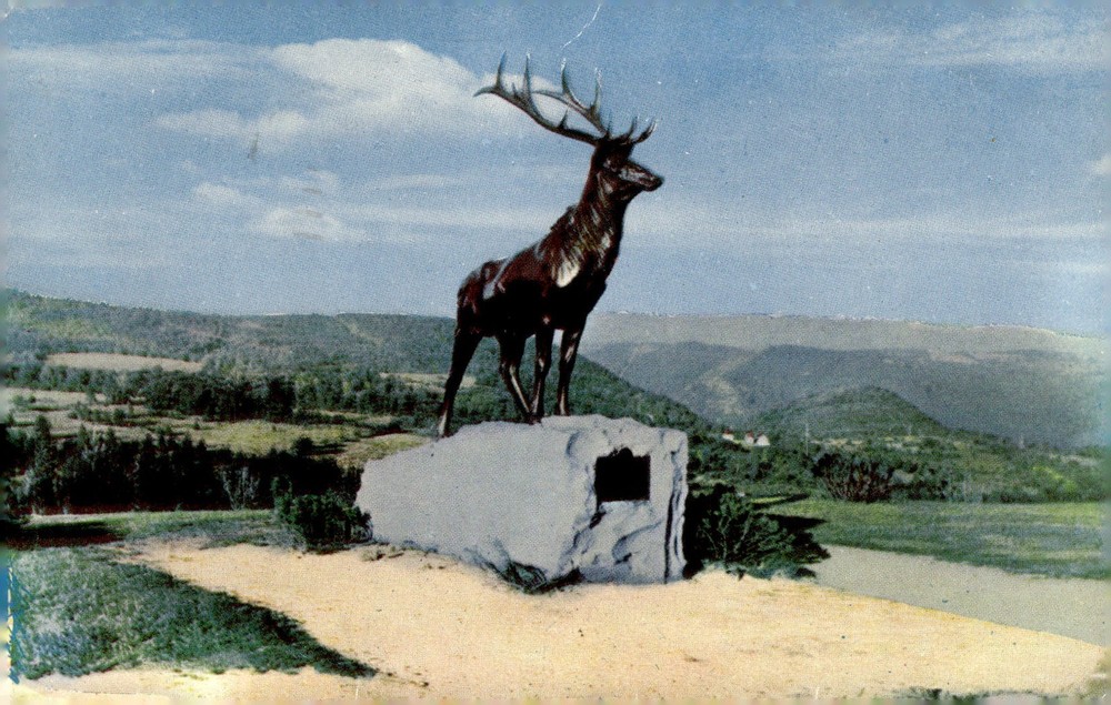 1950s Whitcomb Summit Mohawk Trail North Adams MA Elk Statue Photo Postcard