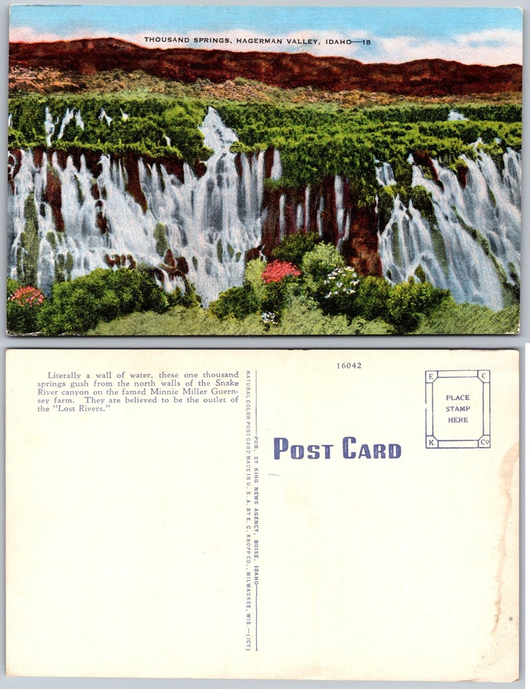 Thousand Springs Hagerman Valley Idaho Postcard