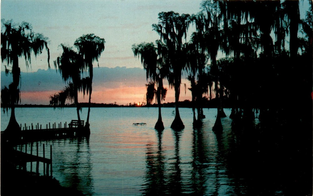 Cypress Gardens, Florida, H. W. Hannau, Roppel Color Cards, Hawthorne Postcard