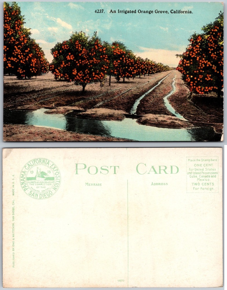 Irrigated Orange Grove California Postcard