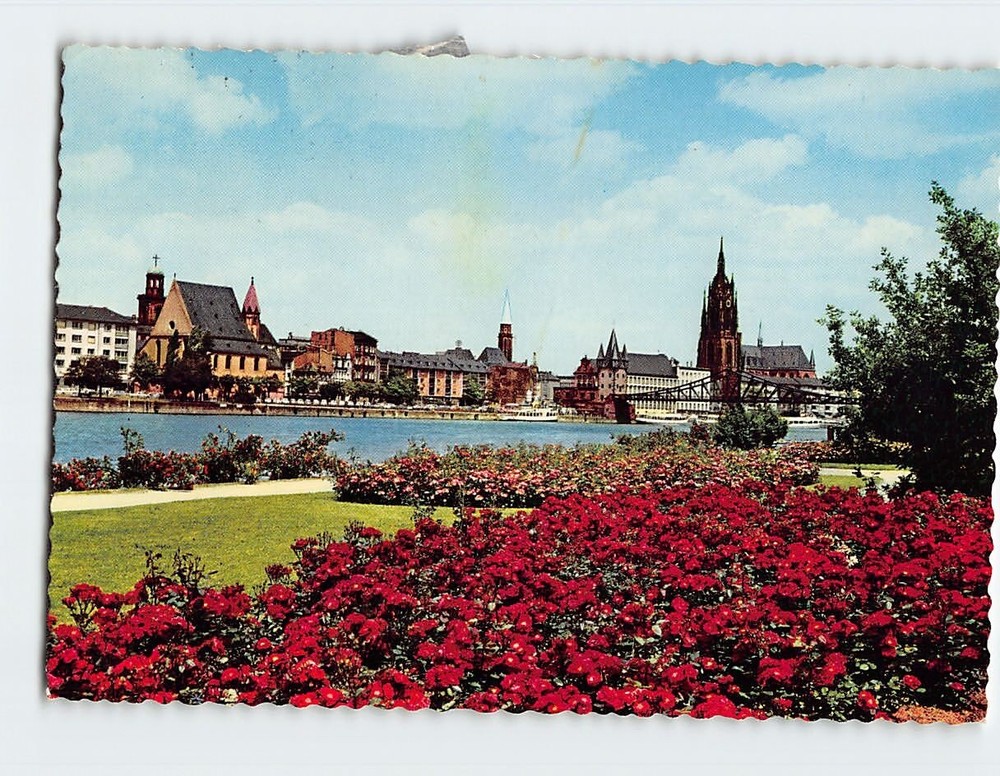 Postcard Partie am Main mit Dom Frankfurt Germany