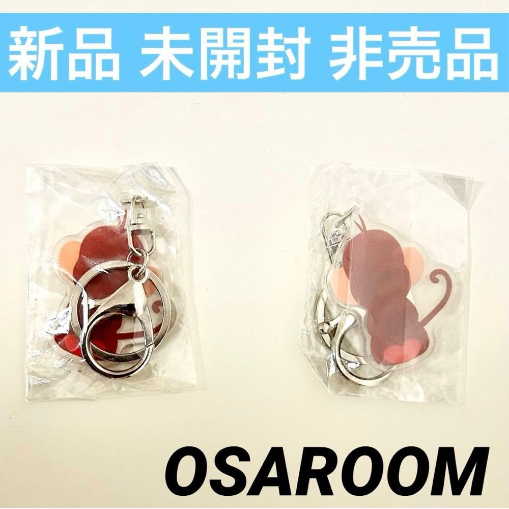 Set Of 2 Osaloom  Acrylic Key Chain Novelty