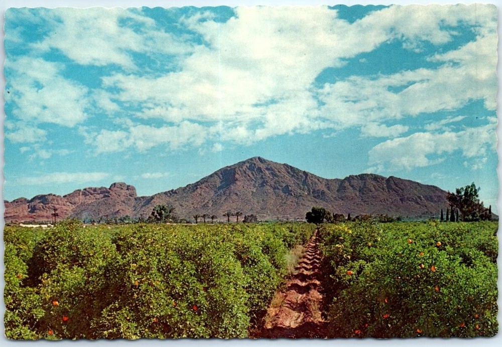 Postcard Camelback Mountain near Phoenix Arizona USA North America