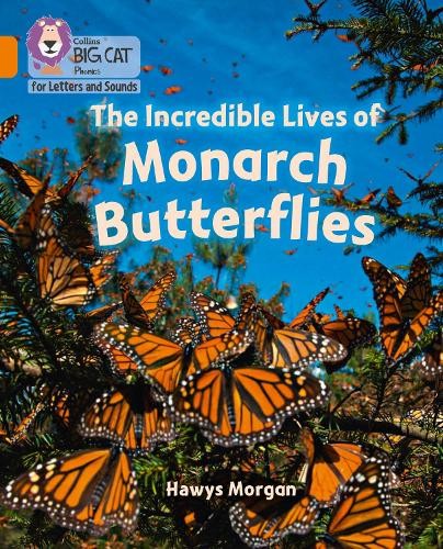 Hawys Morgan The Incredible Lives of Monarch Butterflies (Paperback)Another great item from Rarewaves USA | Free delivery!