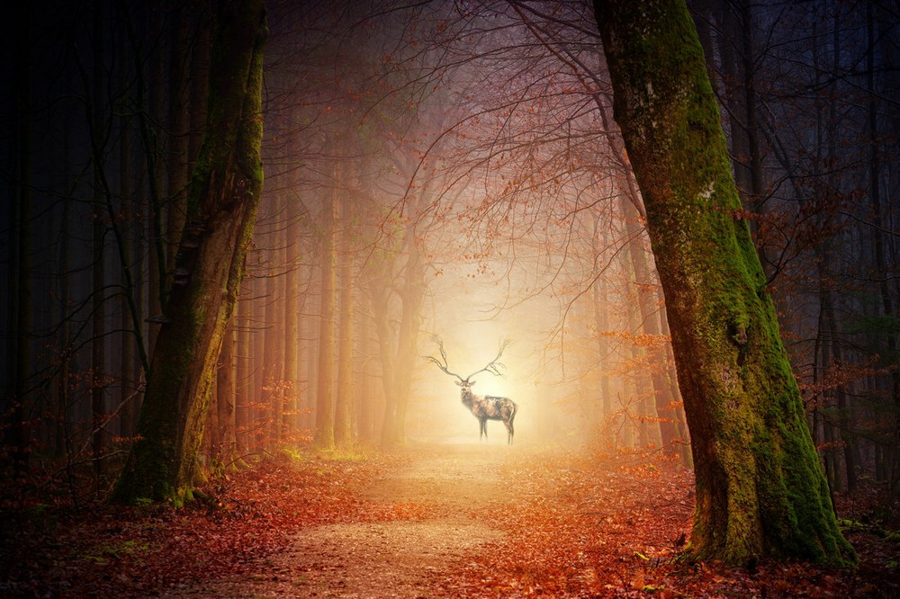 Canvas Abstract Art Prints Painting Fantasy Forest Scenery Deer Modern Home Deco-image