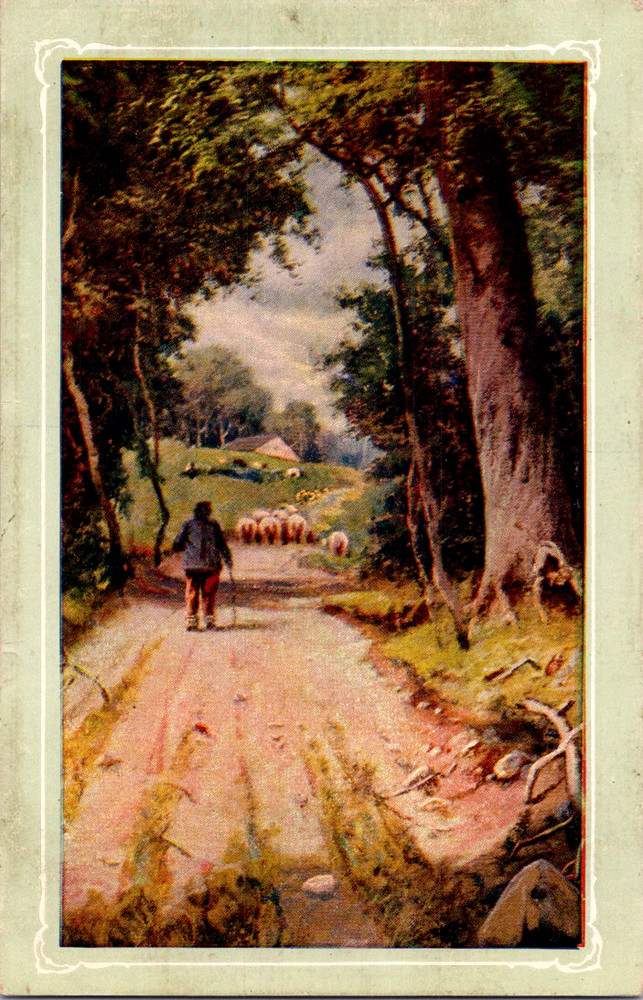 Vintage Postcard Rural Pathway Shepherd Sheep Scenic Countryside Scene