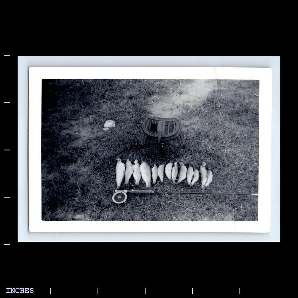 Vintage Photo ABSTRACT UNUSUAL FISHING POLE FISH AND BASKET