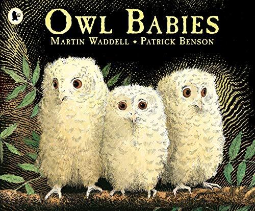 Owl Babies: 1, Waddell, Martin