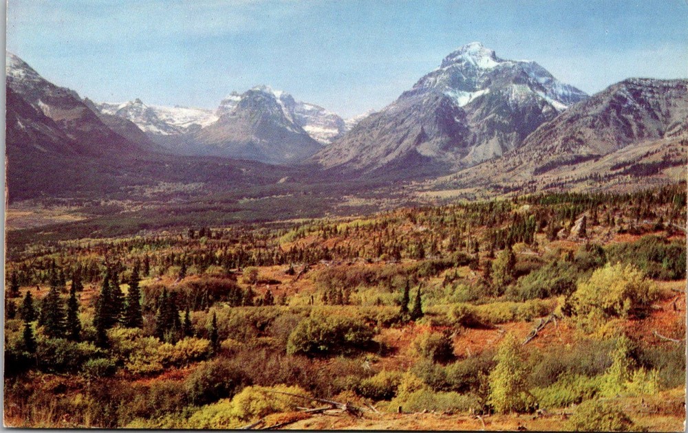 Dr Jim Stamps Postcard Glacier National Park Montana