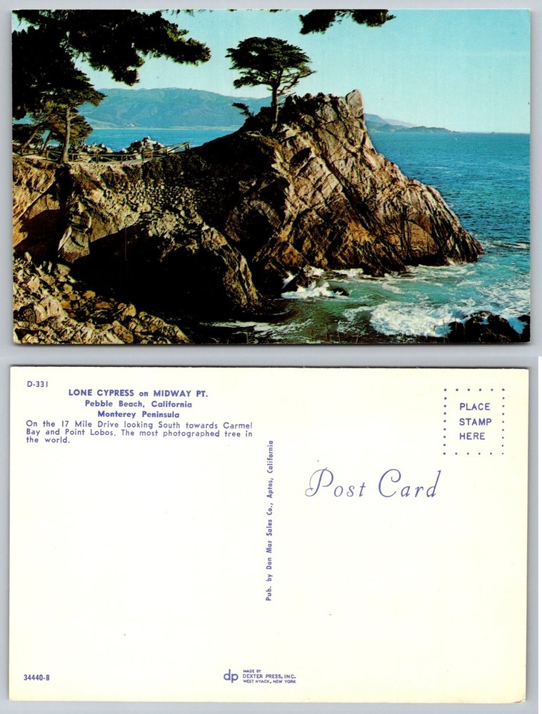 Lone Cypress Pebble Beach CA Postcard 17 Mile Drive Monterey Peninsula