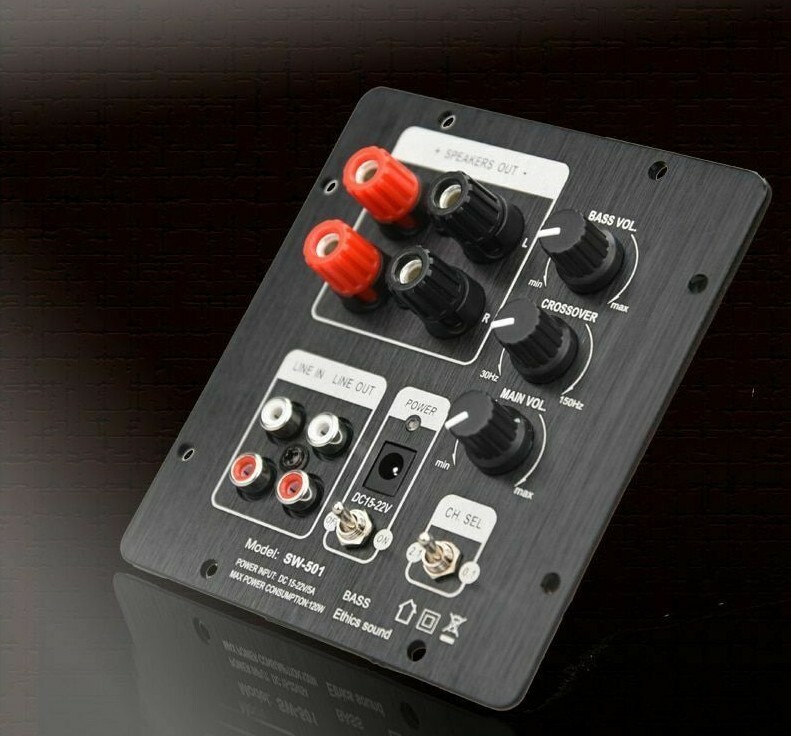 HIFI Subwoofer Amplifier Board for DIY Passive or Active Stereo Speaker Retrofit