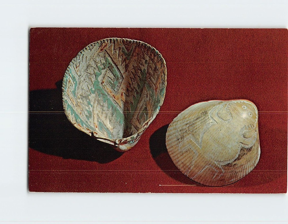 Postcard Shells Arizona State Museum The University Of Arizona Tucson AZ USA
