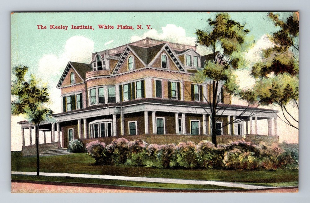 White Plains NY-New York, The Keeley Institute, Souvenir, Vintage Postcard