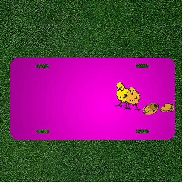 Create a One-of-a-Kind Custom Car License Plate Featuring Your Name with Adorable Egg Chicks and Birds Design