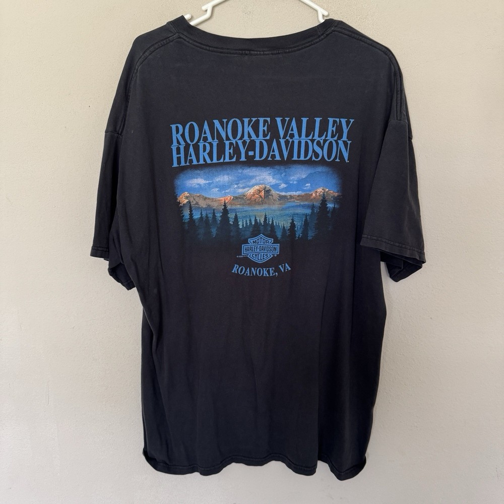 Y2K 2000 Harley Davidson Black T-Shirt Men XL Roanoke Valley , VA Eagle Vintage