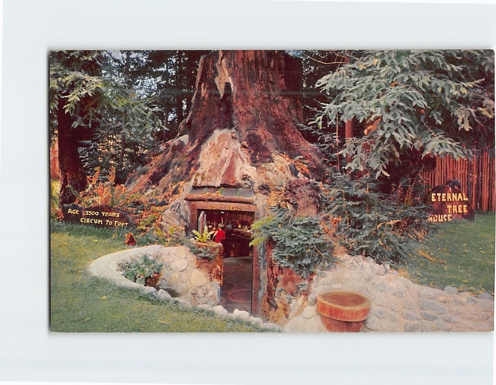 Postcard Eternal Tree House Redcrest California USA