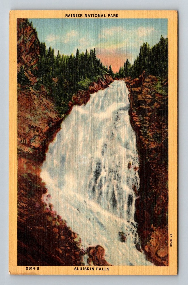 Rainier National Park, WA-Washington, Sluiskin Falls Waterfall Vintage Postcard
