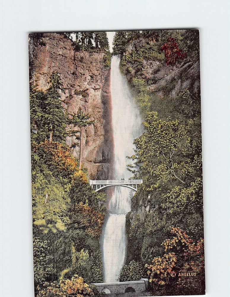 Postcard Multnomah Falls Benson Foot Bridge Columbia River Highway Oregon USA