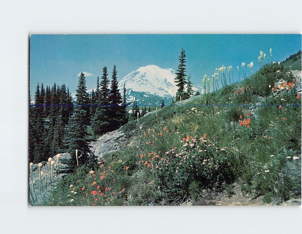 Postcard Mt. Rainier from Dewey Lake Trail Washington USA