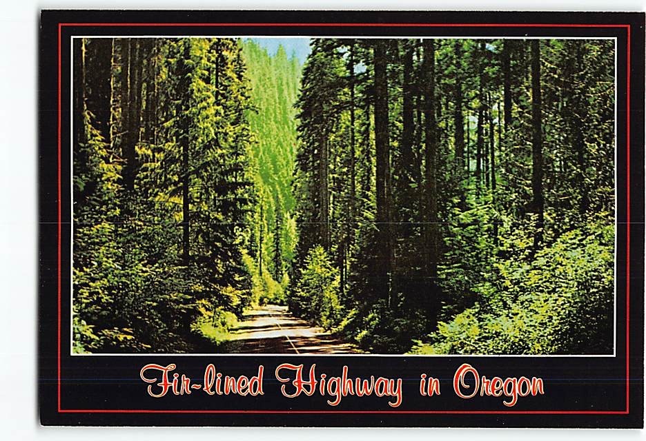 Postcard Fir-lined Highway in Oregon USA
