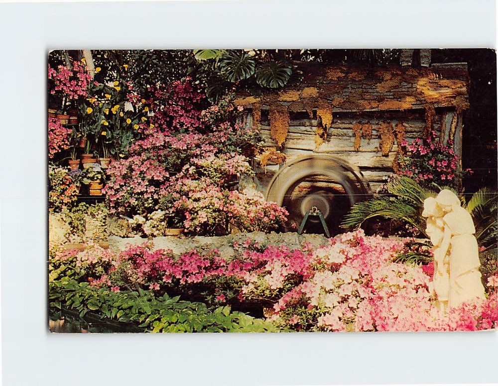Postcard Azaleas Jewel Box Forest Park St. Louis Missouri USA