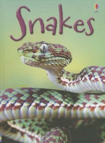 Snakes by James MacLaine: Used
