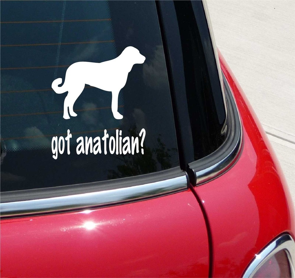Anatolian Dog Graphic Decal Sticker for Car or Wall Art