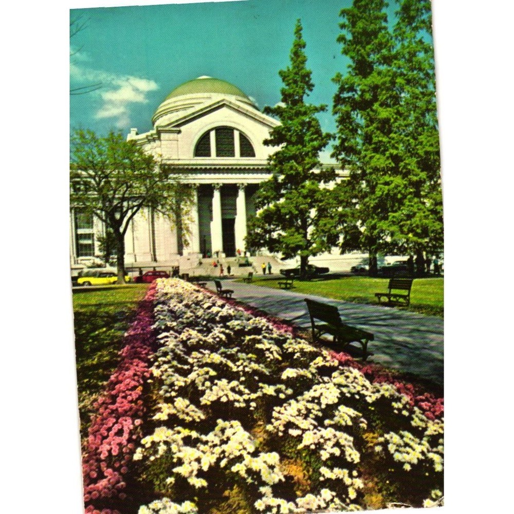 VTG 1973 Smithsonian National Museum of Natural History Postcard Washington DC